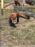 天王寺動物園に投稿された画像（2024/2/11）