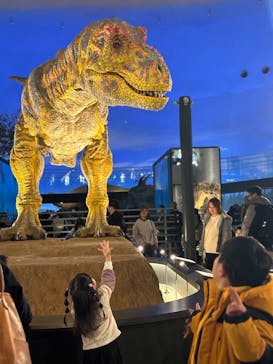 福井県立恐竜博物館に投稿された画像（2024/2/11）