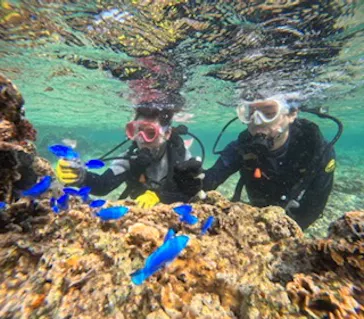 武藤潜水に投稿された画像（2024/2/11）