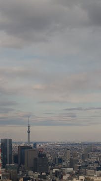 東京タワーに投稿された画像（2024/2/11）