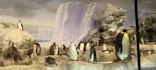 名古屋港水族館に投稿された画像（2024/2/11）