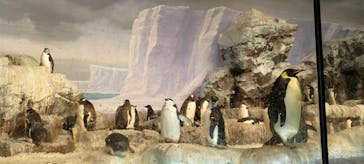 名古屋港水族館に投稿された画像（2024/2/11）