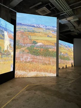 ゴッホ・アライブに投稿された画像（2024/2/11）