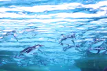 天王寺動物園に投稿された画像（2024/2/11）