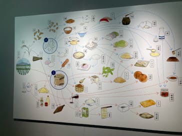 特別展「和食 ～日本の自然、人々の知恵～」に投稿された画像（2024/2/11）