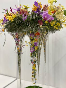 世界らん展2026-花と緑の祭典-に投稿された画像（2024/2/11）