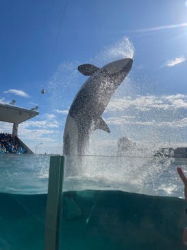 鴨川シーワールドに投稿された画像（2024/2/11）