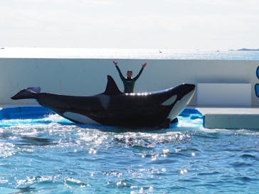 鴨川シーワールドに投稿された画像（2024/2/11）