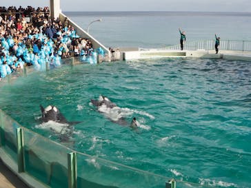 鴨川シーワールドに投稿された画像（2024/2/11）