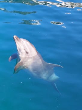 伊豆・三津シーパラダイスに投稿された画像（2024/2/11）