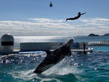 鴨川シーワールドに投稿された画像（2024/2/11）