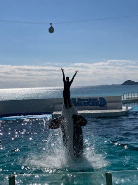 鴨川シーワールドに投稿された画像（2024/2/11）