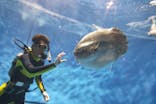 アクアワールド茨城県大洗水族館に投稿された画像（2024/2/11）