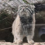 神戸どうぶつ王国に投稿された画像（2024/2/11）