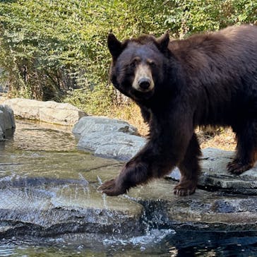 神戸どうぶつ王国に投稿された画像（2024/2/11）