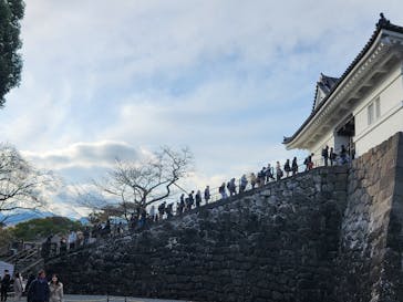 小田原城に投稿された画像（2024/2/11）