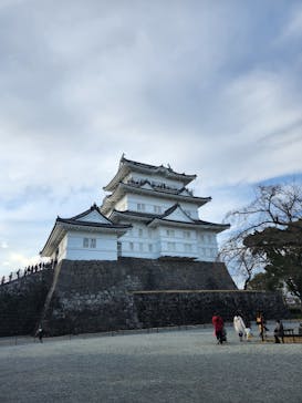 小田原城に投稿された画像（2024/2/11）