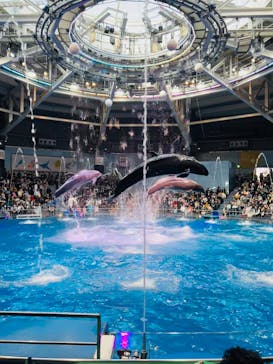 マクセル アクアパーク品川に投稿された画像（2024/2/11）