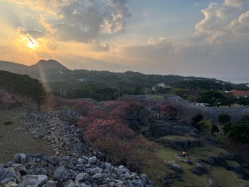 今帰仁城跡に投稿された画像（2024/2/11）