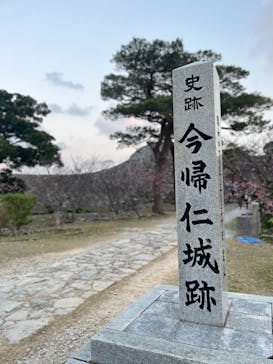 今帰仁城跡に投稿された画像（2024/2/11）