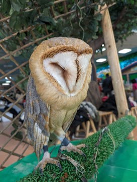 いきもの探検隊上尾に投稿された画像（2024/2/11）