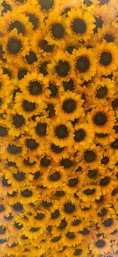 ゴッホ・アライブに投稿された画像（2024/2/3）