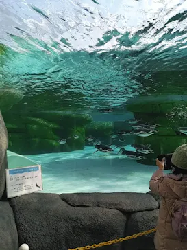 天王寺動物園に投稿された画像（2024/2/11）