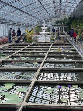 熱川バナナワニ園に投稿された画像（2024/2/11）