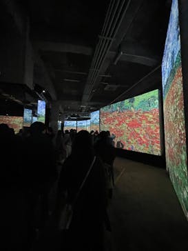 ゴッホ・アライブに投稿された画像（2024/2/11）