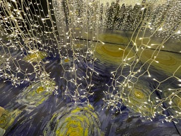 ゴッホ・アライブに投稿された画像（2024/2/11）