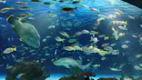 サンシャイン水族館に投稿された画像（2024/2/11）