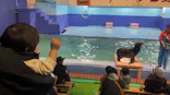 ゼロ距離水族館 伊勢シーパラダイスに投稿された画像（2024/2/11）
