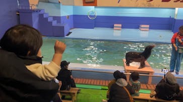 ゼロ距離水族館 伊勢シーパラダイスに投稿された画像（2024/2/11）