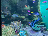 サンシャイン水族館に投稿された画像（2024/2/11）