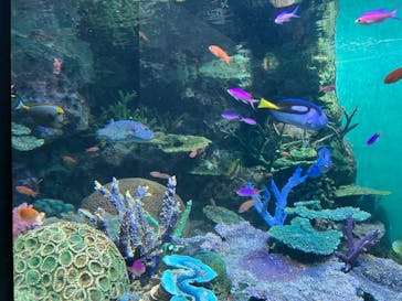 サンシャイン水族館に投稿された画像（2024/2/11）