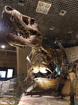国立科学博物館に投稿された画像（2024/2/11）
