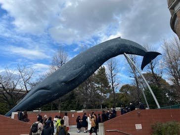 国立科学博物館に投稿された画像（2024/2/11）