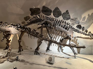 国立科学博物館に投稿された画像（2024/2/11）