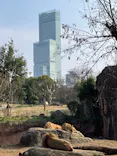 天王寺動物園に投稿された画像（2024/2/11）