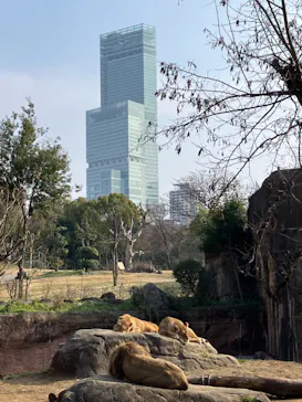天王寺動物園に投稿された画像（2024/2/11）