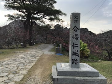 今帰仁城跡に投稿された画像（2024/2/11）