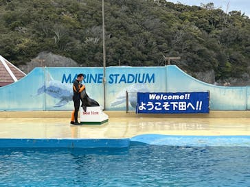 下田海中水族館に投稿された画像（2024/2/11）