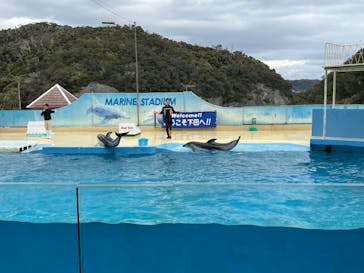 下田海中水族館に投稿された画像（2024/2/11）