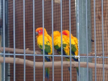 淡路ファームパーク イングランドの丘に投稿された画像（2024/2/11）