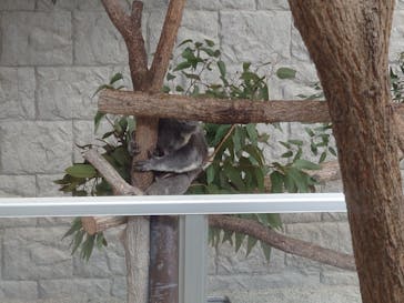 淡路ファームパーク イングランドの丘に投稿された画像（2024/2/11）