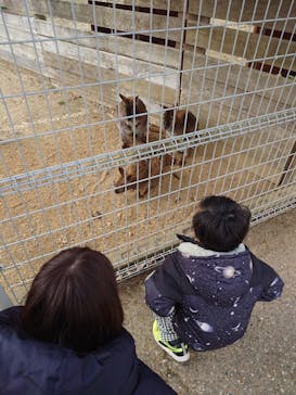 淡路ファームパーク イングランドの丘に投稿された画像（2024/2/11）