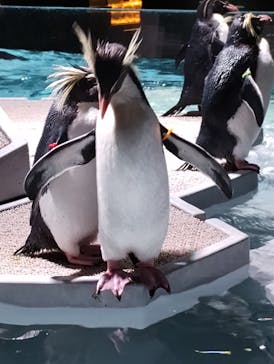 AOAO SAPPOROに投稿された画像（2024/2/11）