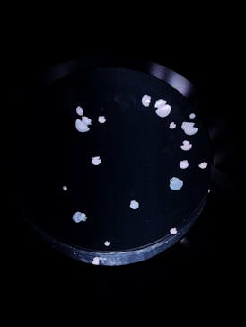 AOAO SAPPOROに投稿された画像（2024/2/11）