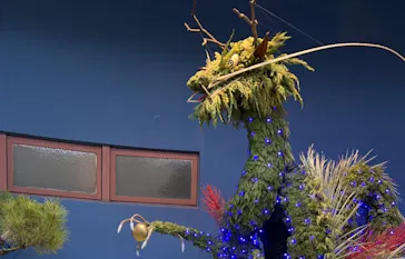 ひらかたパークに投稿された画像（2024/2/11）