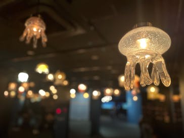 京都水族館に投稿された画像（2024/2/11）